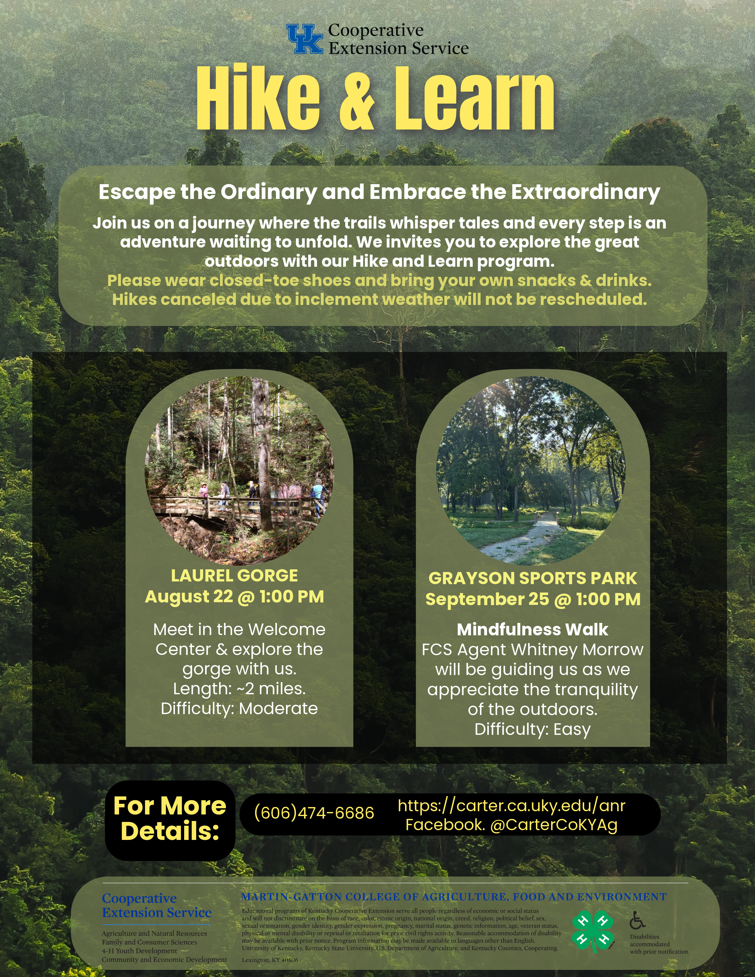 Flyer