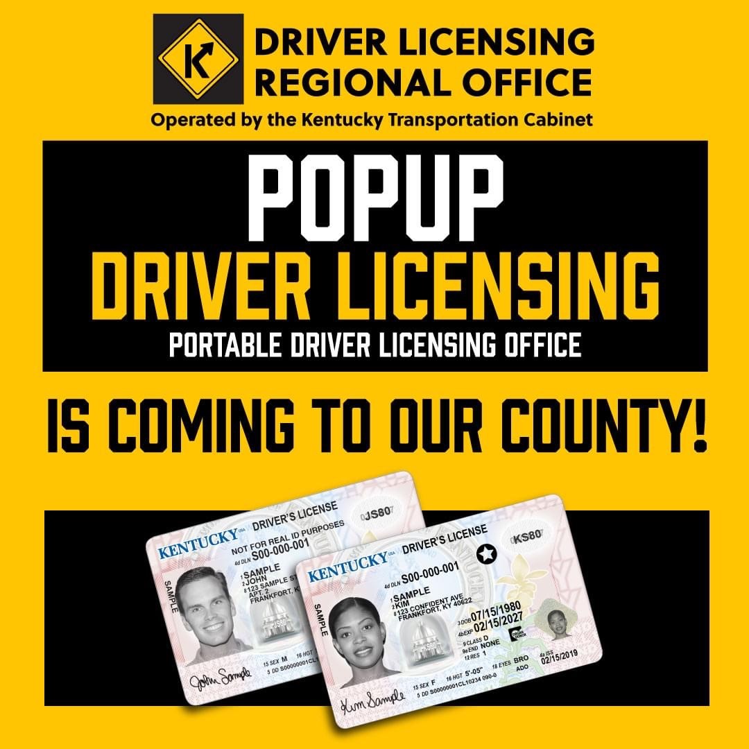 Driver License Pop-Up