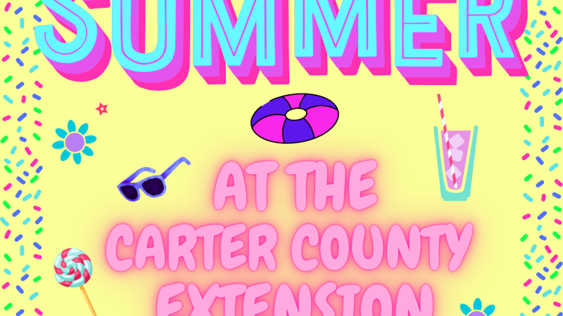 Summer Activities