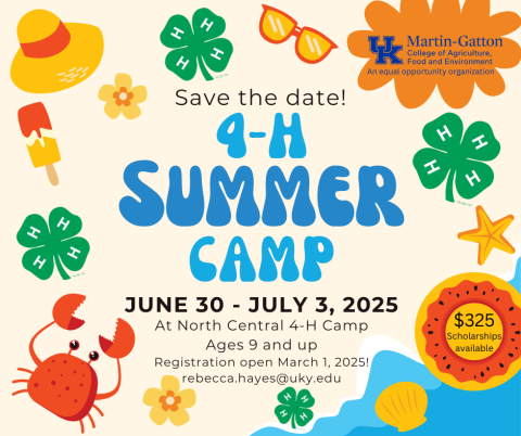 4-H Summer Camp