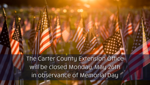 Memorial Day